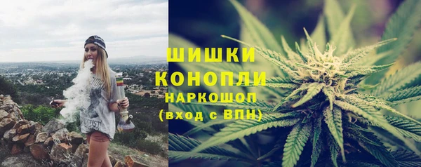 крисы Богородицк