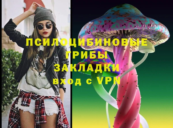 не бодяженный Белокуриха