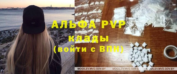 крисы Богородицк