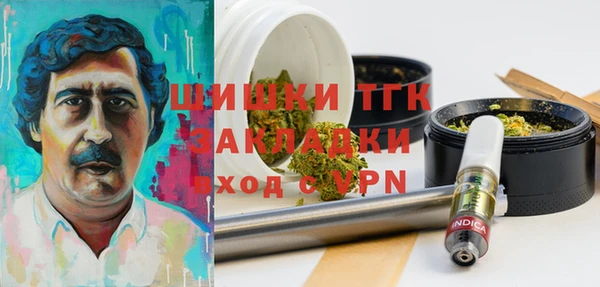 крисы Богородицк
