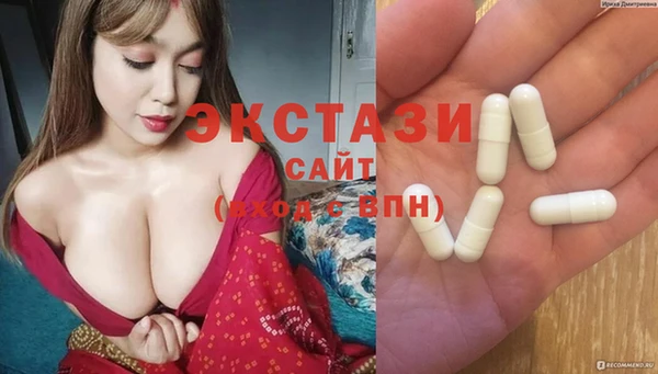 крисы Богородицк