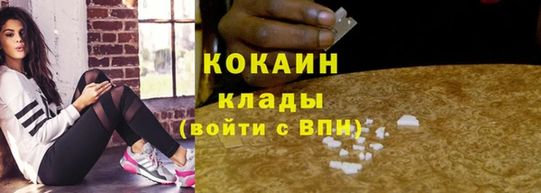 крисы Богородицк